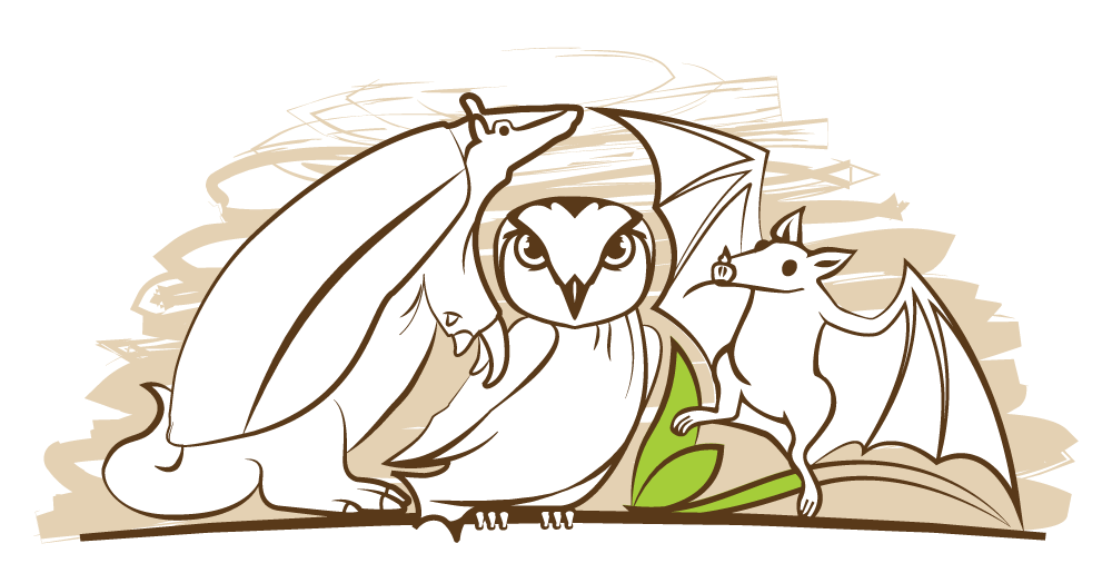 ngo-illustration-Artboard 5 personajes-logo-kurupira