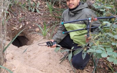 Investigador de Fundación Kurupira recibe beca en Brasil para entrenarse en el estudio de armadillos gigantes